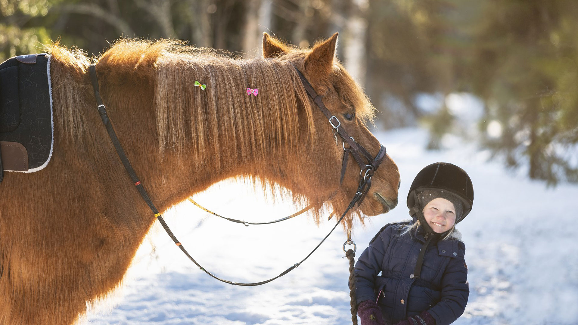 Norther_2042